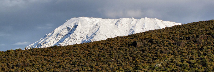 Snow-capped mountain, Kilimanjaro Marangu Route, Tanzania.