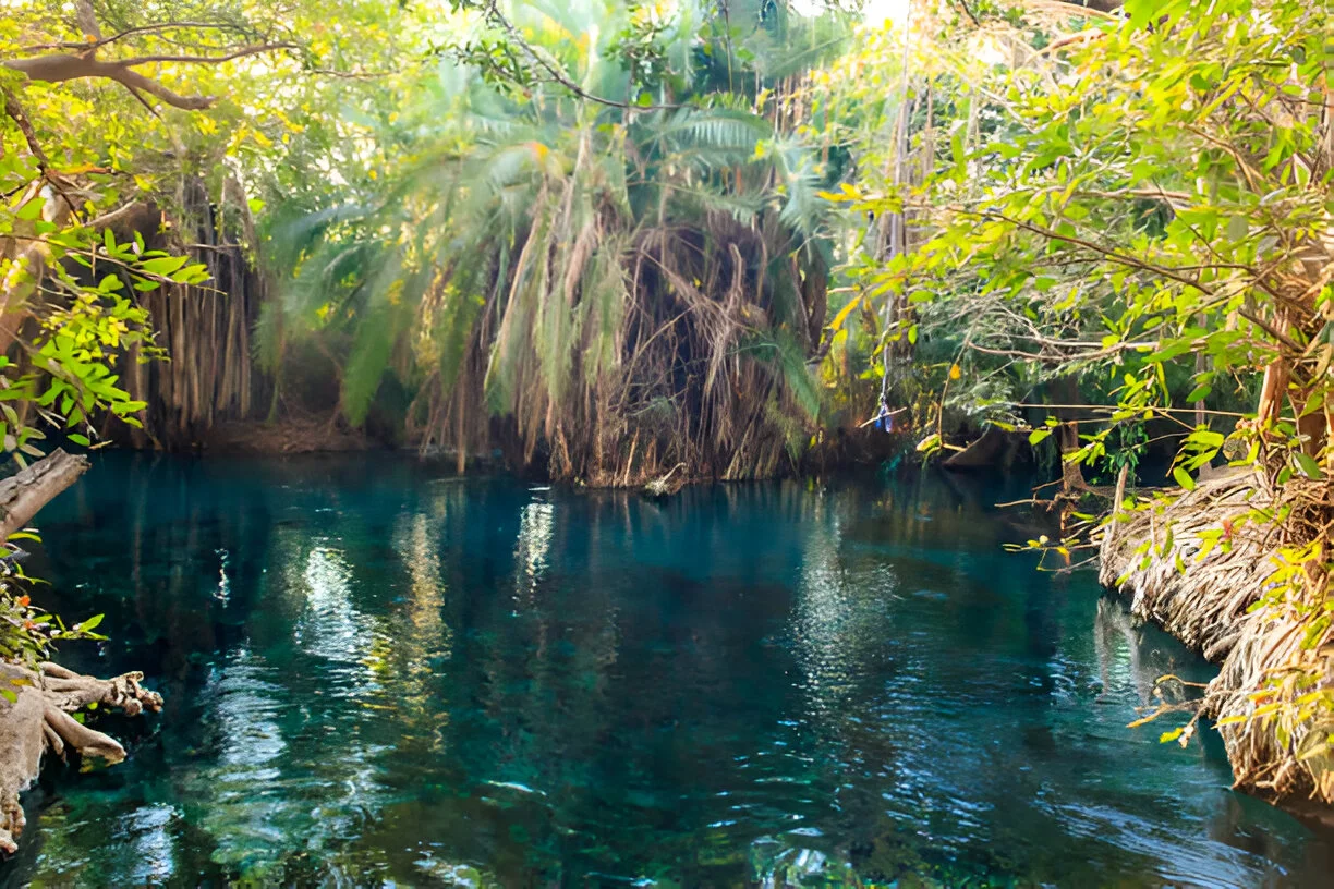 Experience the Materuni day trip for special relaxation after hiking or safari, and get ready for your next adventure.