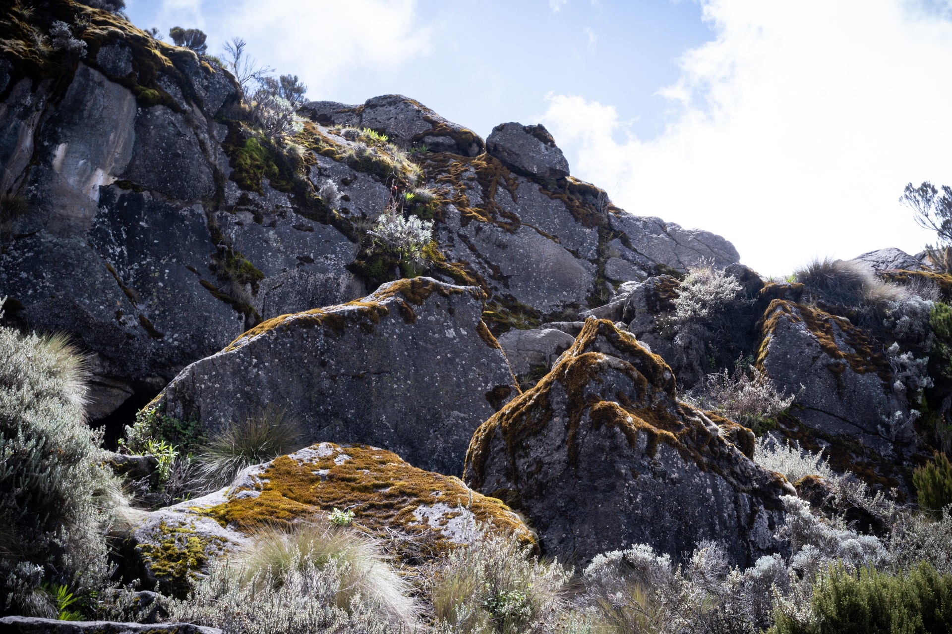 The beauty of Kilimanjaro Mountain and the scenic rocks of Barranco Camp.