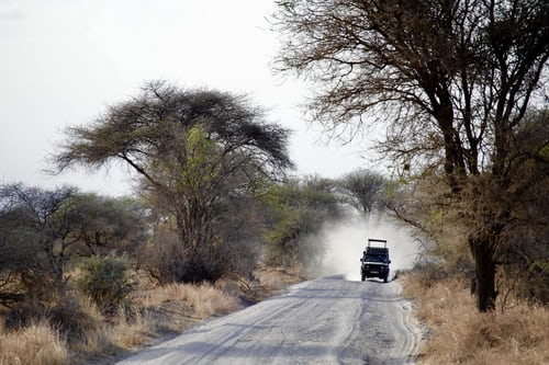 A 4x4 safari jeep navigating a rugged, dusty dirt road through the iconic baobab-dotted landscape of Tarangire National Park.